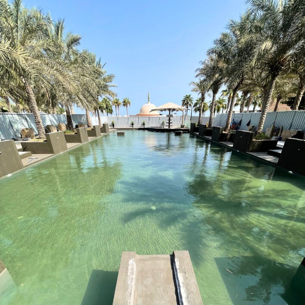 Pool Maintanence & repair projects 4