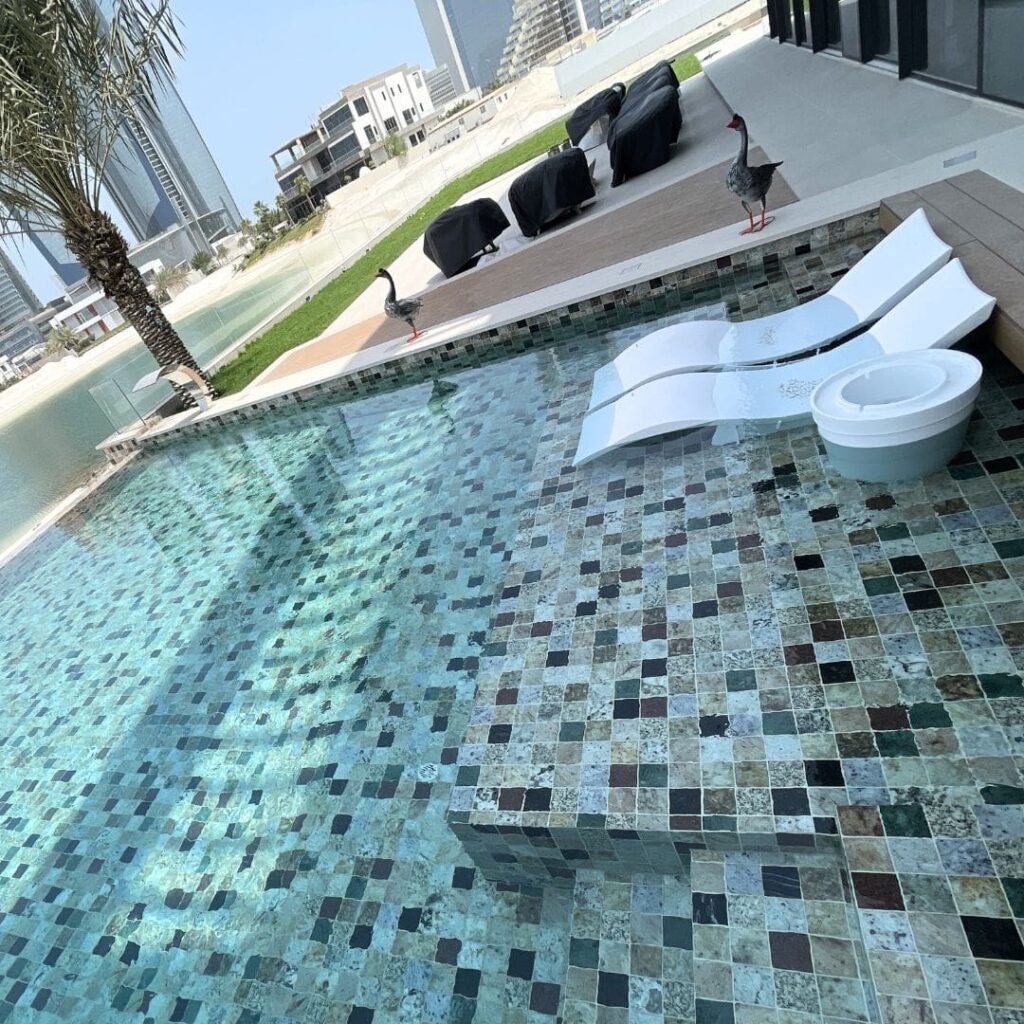 pool cleaning projects 1